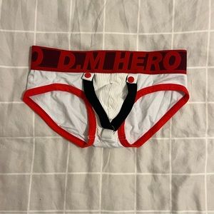 DM briefs medium